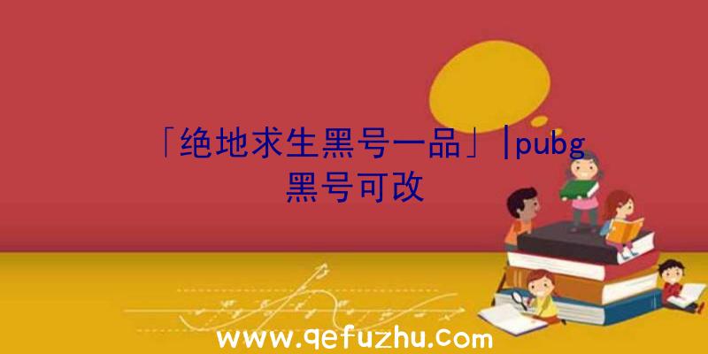 「绝地求生黑号一品」|pubg黑号可改